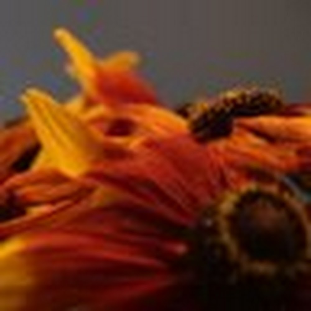 Meet your Posher, Sabrina